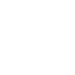 SILK PATH DONG TRIEU